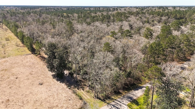 2720 Cherry Creek E Drive, Shepherd TX, 77371 land for sale