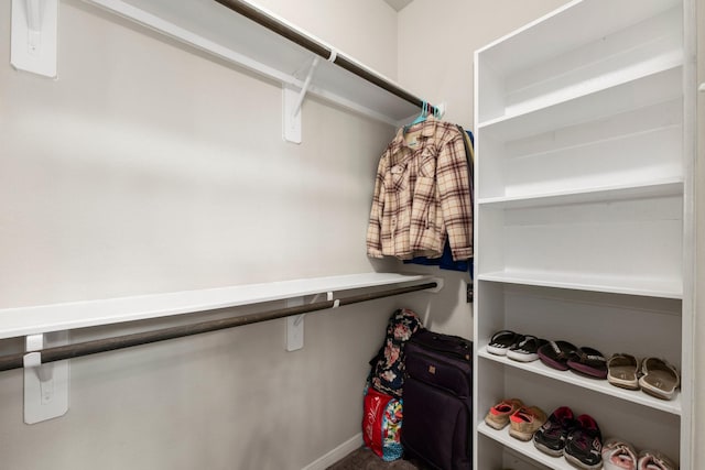 view of spacious closet