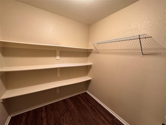 spacious closet featuring dark wood finished floors