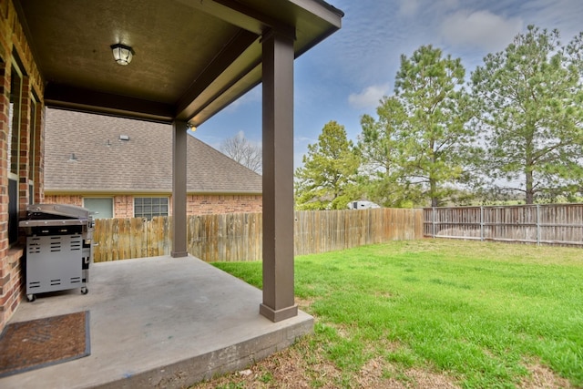 view of yard with a patio and a fenced backyard