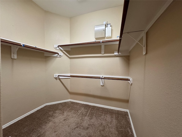 walk in closet featuring carpet floors