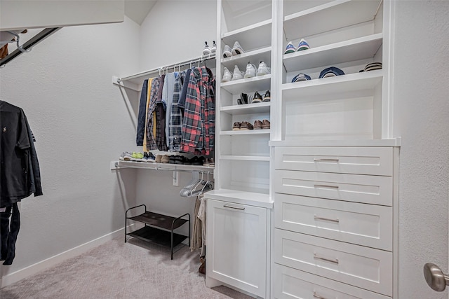 walk in closet with light colored carpet