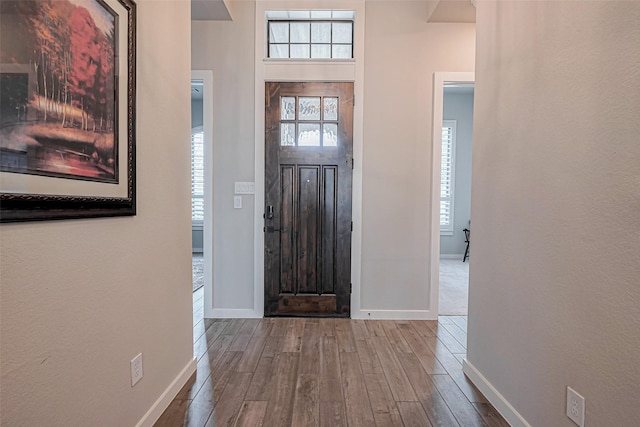 entryway featuring plenty of natural light, baseboards, and wood finished floors