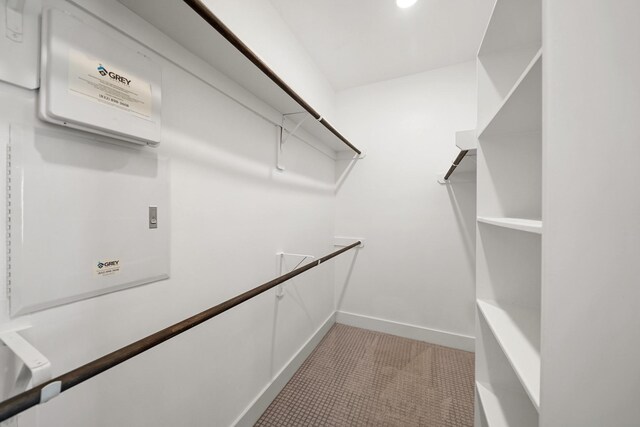 spacious closet featuring light colored carpet