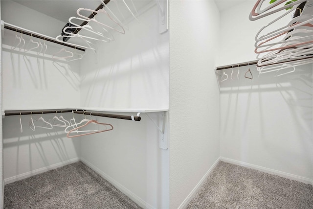 spacious closet with carpet floors