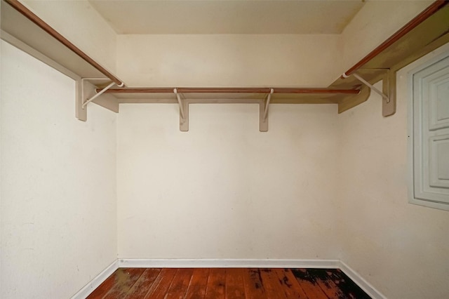 spacious closet featuring dark wood-style flooring