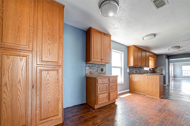 kitchen with tasteful backsplash, visible vents, a healthy amount of sunlight, and dark wood-type flooring