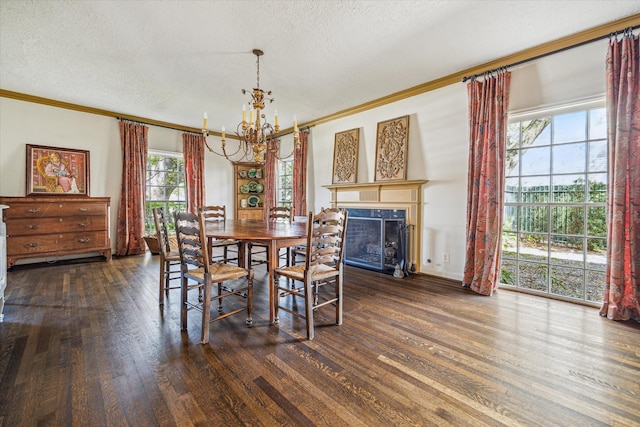 dining room with a textured ceiling, wood finished floors, and ornamental molding