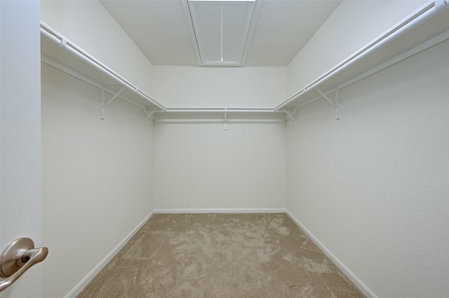 spacious closet with attic access and carpet flooring