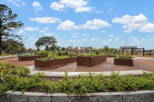 view of property's community featuring a vegetable garden