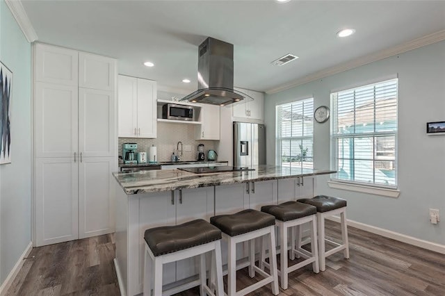 kitchen featuring visible vents, a sink, appliances with stainless steel finishes, backsplash, and island range hood