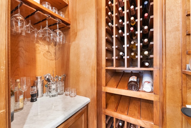 wine room with a dry bar