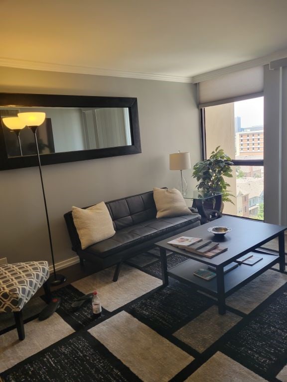 living room with crown molding