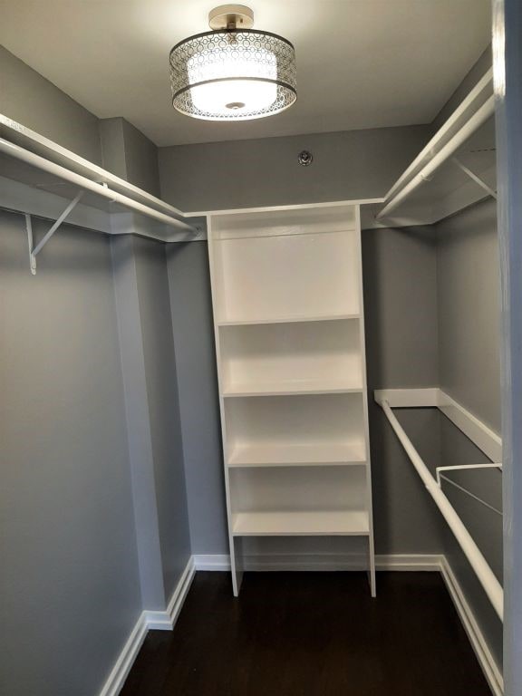 walk in closet with dark wood finished floors