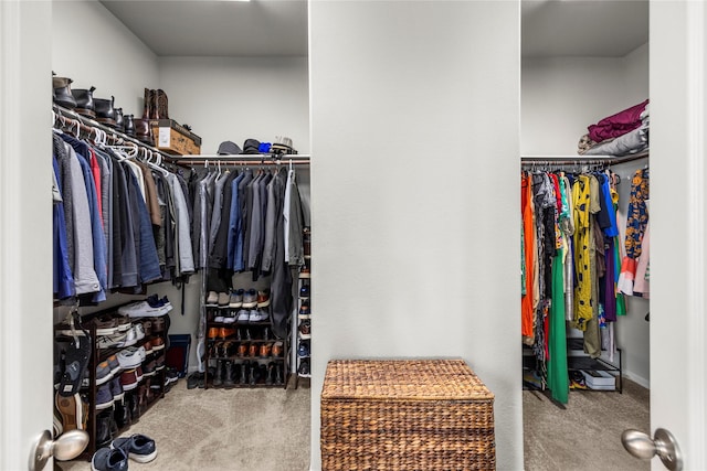 spacious closet with carpet flooring