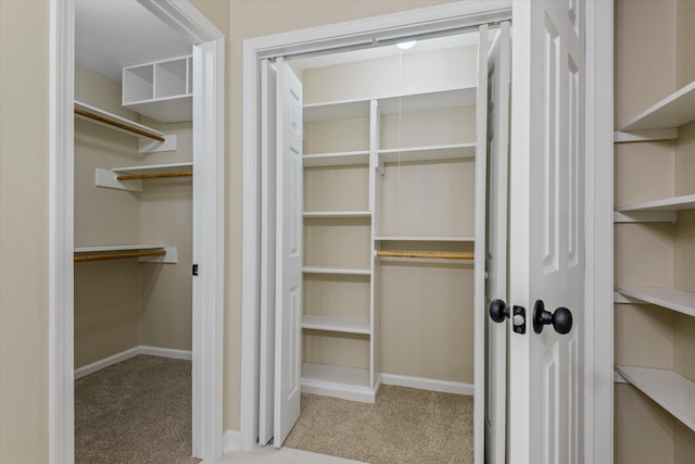 walk in closet featuring carpet and visible vents