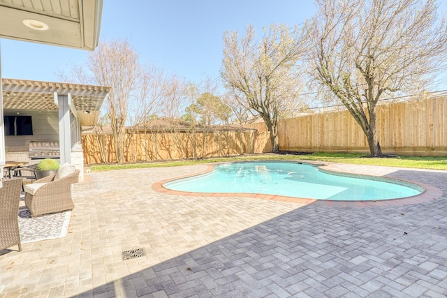 view of pool featuring a patio area, a fenced in pool, and a fenced backyard