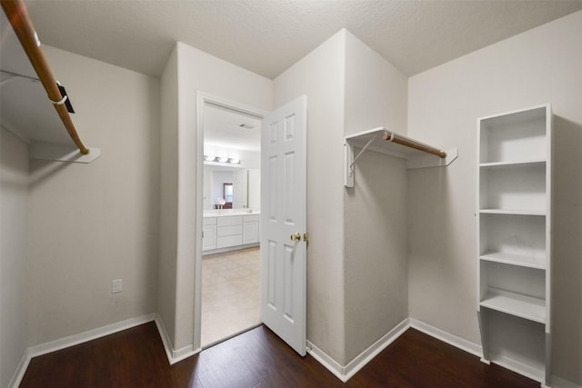 spacious closet with dark wood-style flooring