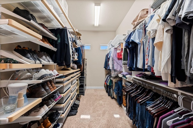 walk in closet with carpet