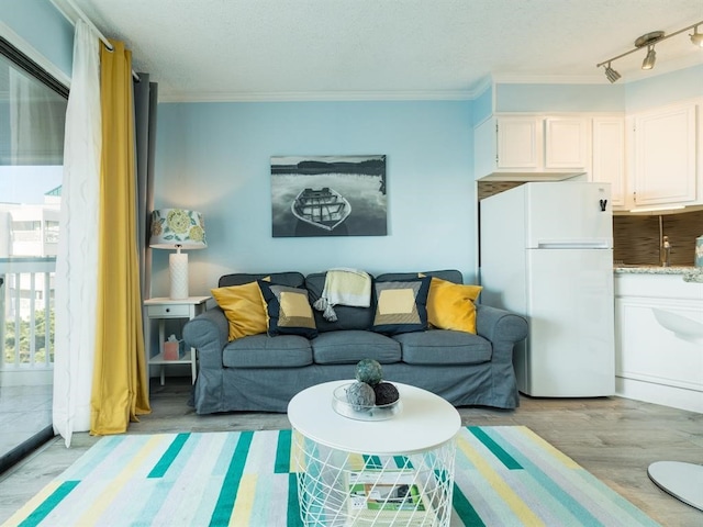 living area featuring light wood-type flooring, a textured ceiling, and crown molding