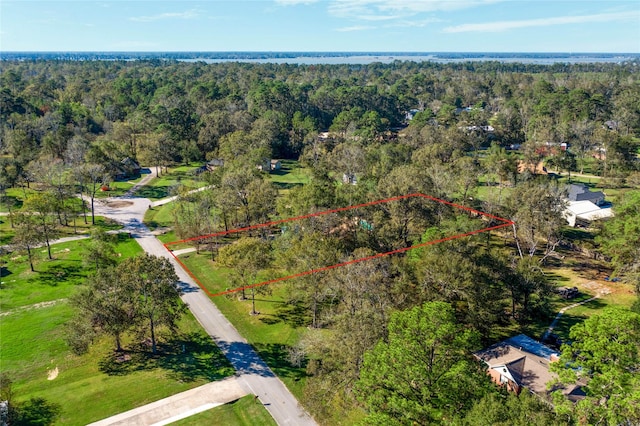 bird's eye view featuring a forest view