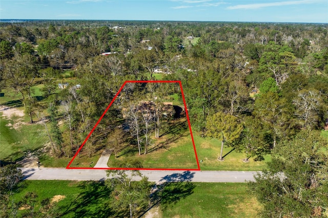 birds eye view of property with a view of trees