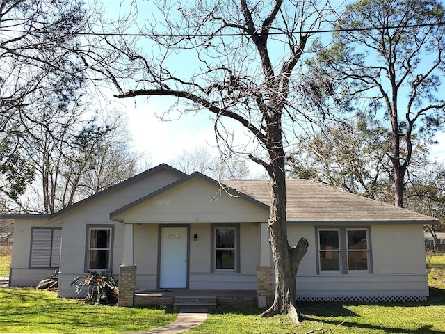 view of front of house featuring a front lawn and roof with shingles