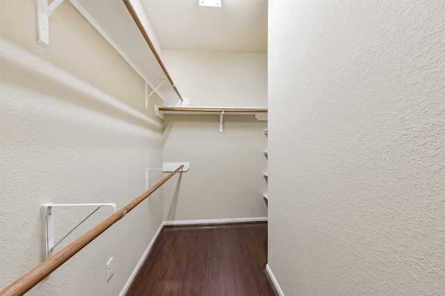 spacious closet featuring wood finished floors