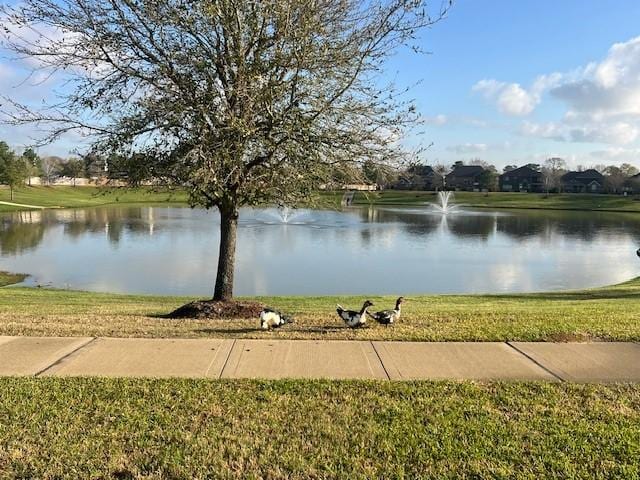 property view of water