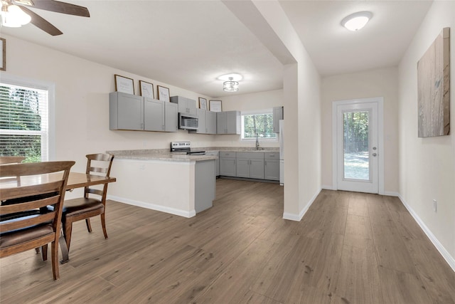 kitchen with a peninsula, light wood-style flooring, stainless steel appliances, gray cabinetry, and light countertops