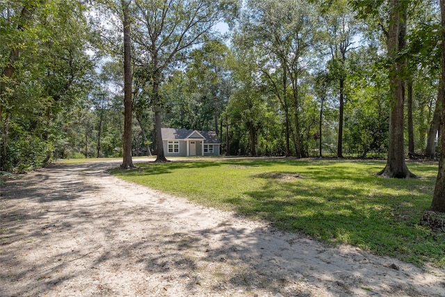 view of yard featuring a wooded view and driveway