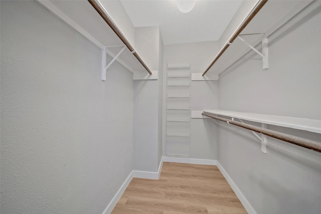 walk in closet with light wood finished floors