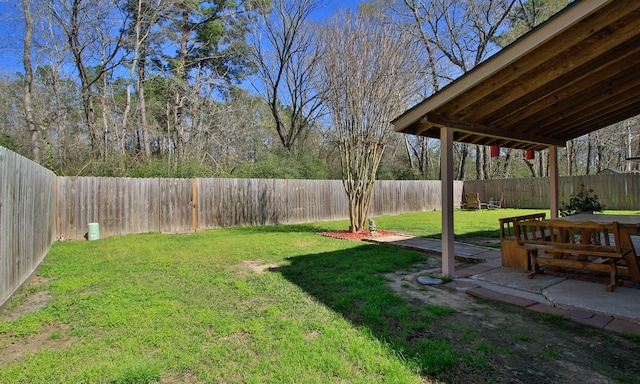 view of yard with a fenced backyard and a patio area