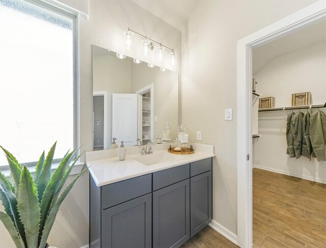 bathroom featuring a walk in closet, wood finished floors, plenty of natural light, and vanity