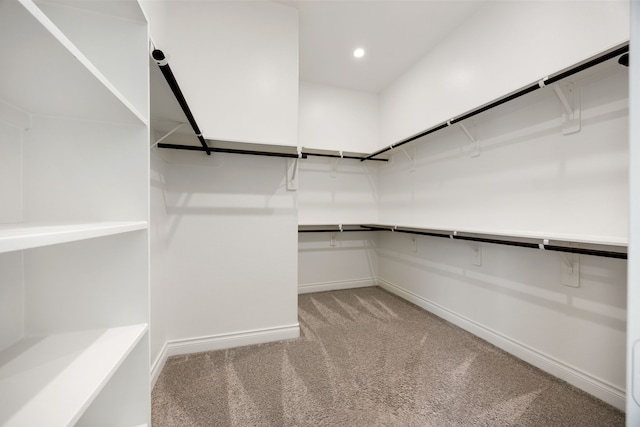 spacious closet with light carpet