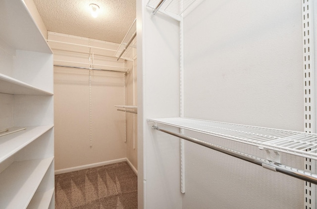 walk in closet with carpet