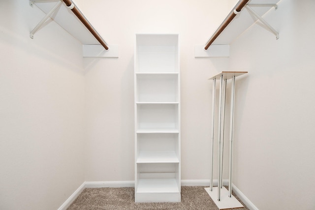 spacious closet with carpet floors