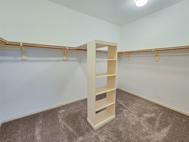 spacious closet featuring carpet flooring