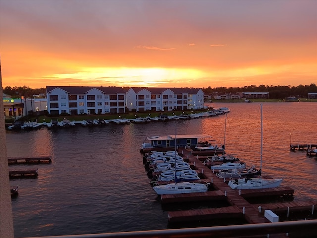 property view of water with a boat dock