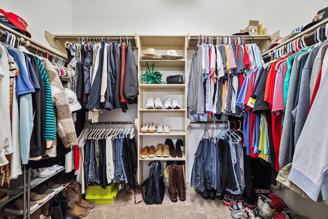 walk in closet featuring carpet