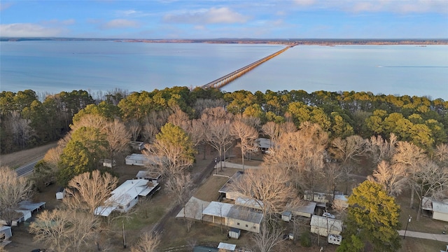 bird's eye view with a forest view and a water view