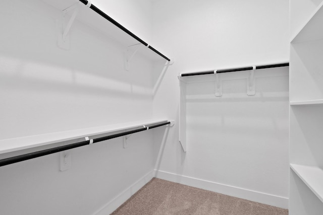 spacious closet featuring light carpet