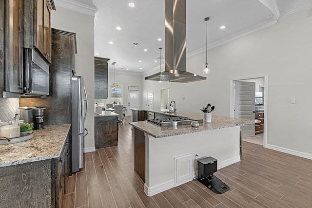 kitchen featuring appliances with stainless steel finishes, crown molding, wood finish floors, and island range hood