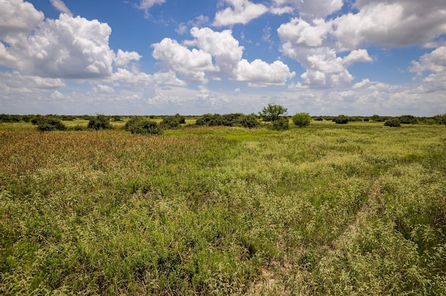 Listing photo 2 for 83ACRES County Road 18, Hallettsville TX 77964