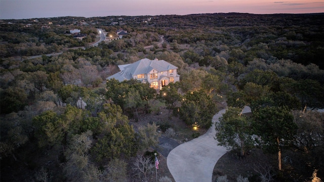 359 Cambridge Dr, New Braunfels, TX 78132 - aerial view at dusk featuring a view of trees