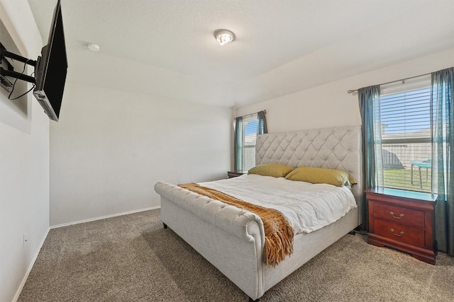 bedroom with multiple windows, baseboards, and carpet floors