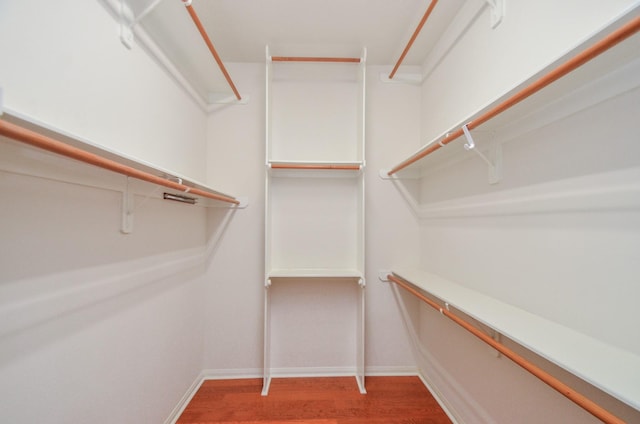 spacious closet featuring wood finished floors