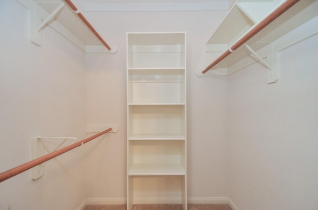 spacious closet with carpet