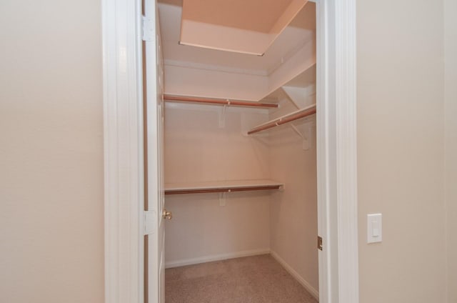 spacious closet featuring carpet flooring