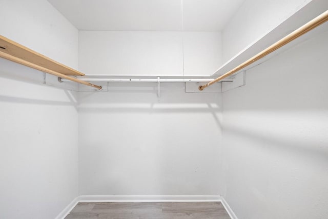 spacious closet featuring wood finished floors